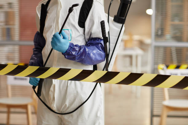 Professional Sewage Cleanup technician working in Branch, AR